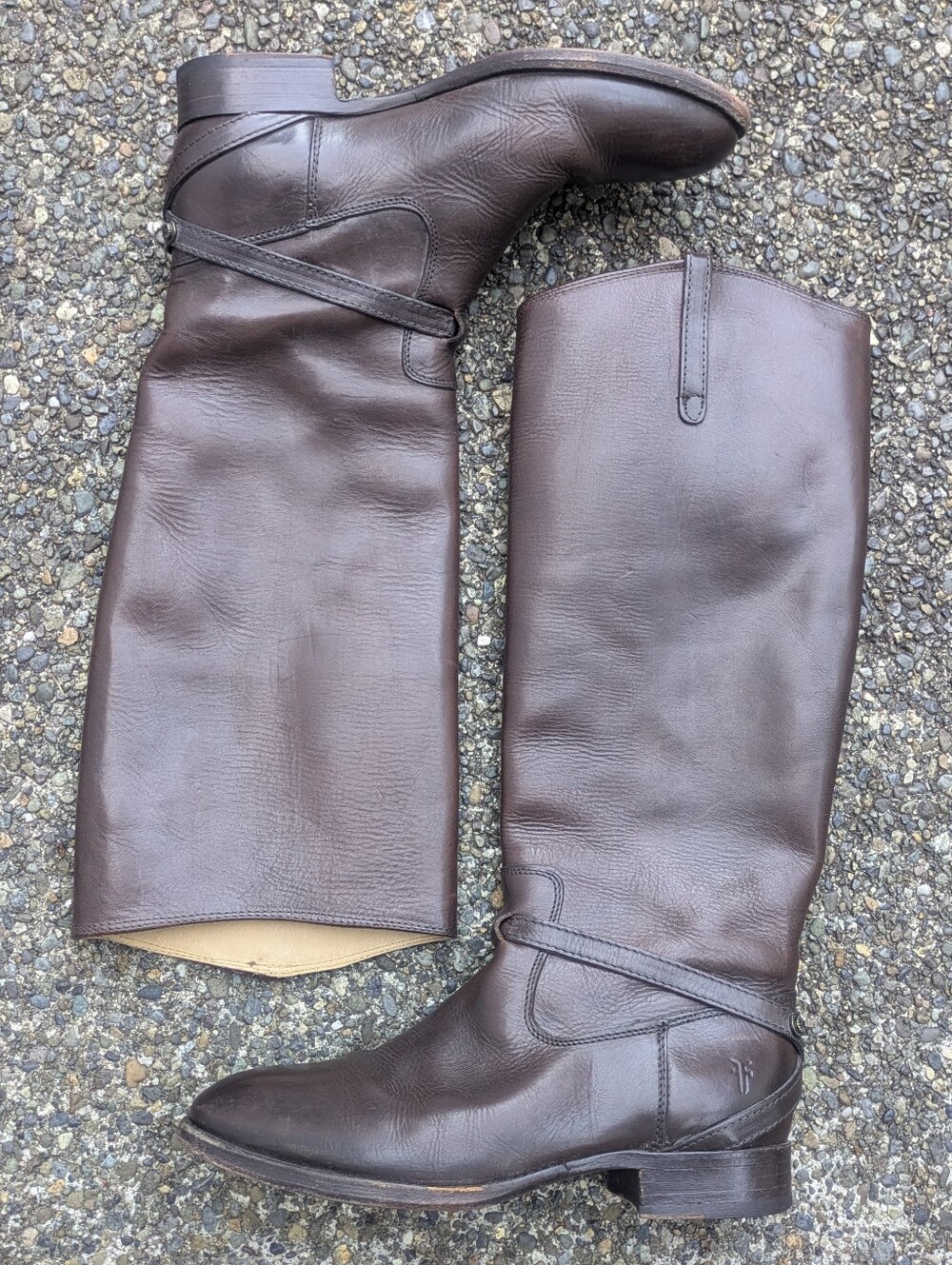 Frye Brown Lindsay Plate Tall Riding Boots